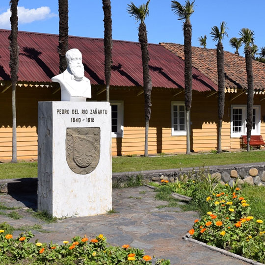 Busto Pedro del Río Zañartu (1840 - 1918)