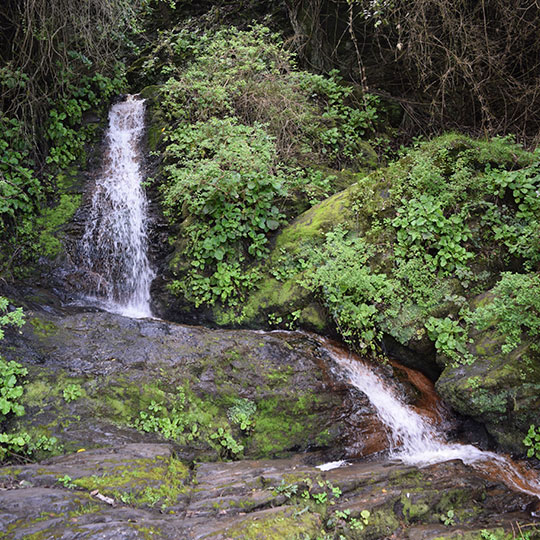 Cascada Rocoto, Parque Museo Pedro del Río Zañartu