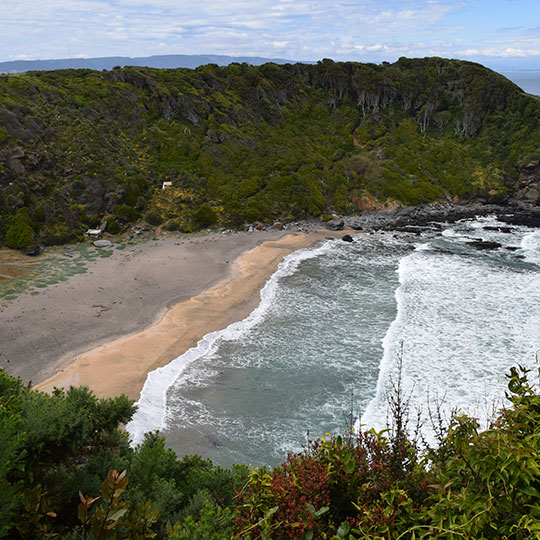 Vista de Playa Rocoto, Parque Pedro del Río Zañartu