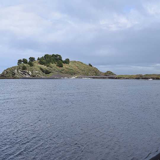 Río Bío-Bío y el Cerro Pompón, Parque Museo Pedro del Río Zañartu