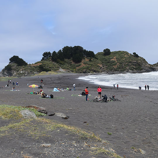 Playa Desembocadura, Parque Museo Pedro del Río Zañartu