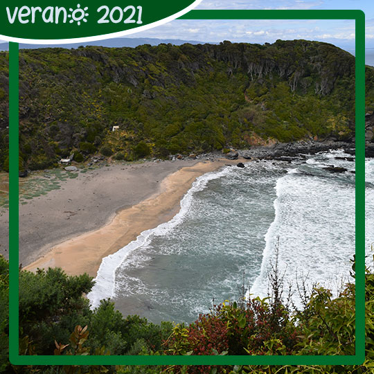 Vista de Playa Rocoto, Parque Pedro del Río Zañartu