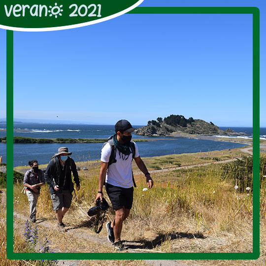 Tour Expedición a Rocoto - Parque Museo Pedro del Río Zañartu.