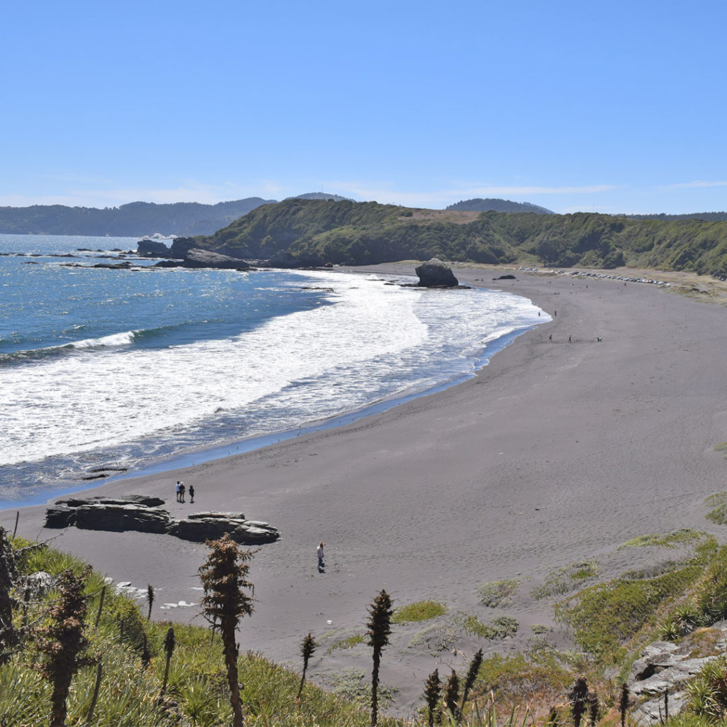 Playa Desembocadura, vista desde Sendero Cerro Pompón, Parque Museo Pedro del Río Zañartu