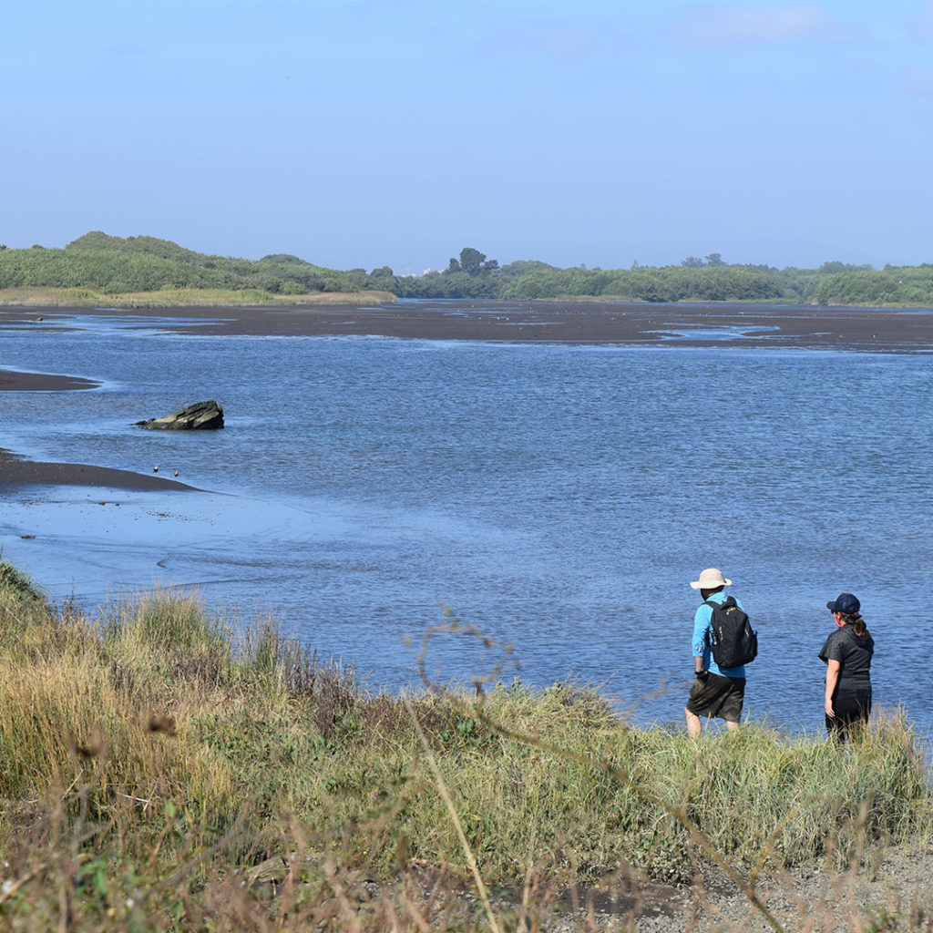 Trekking por el Río Bío Bío - Parque Museo Pedro del Río Zañartu