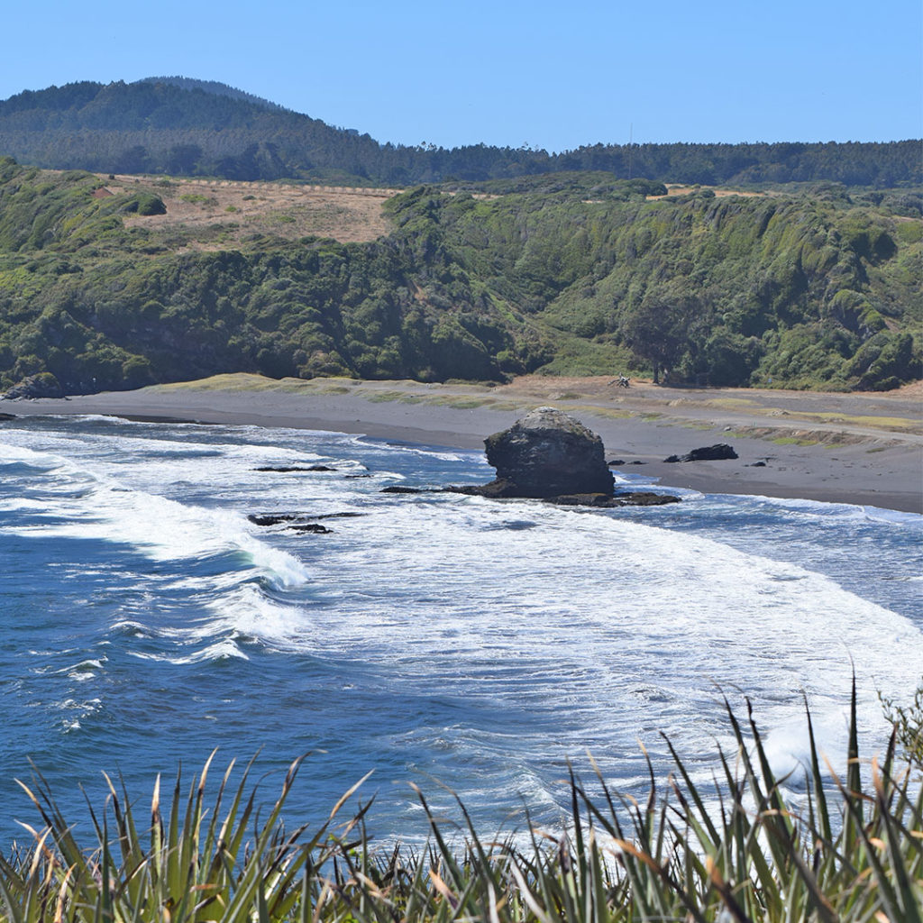 Playa Desembocadura, Parque Museo Pedro del Río Zañartu