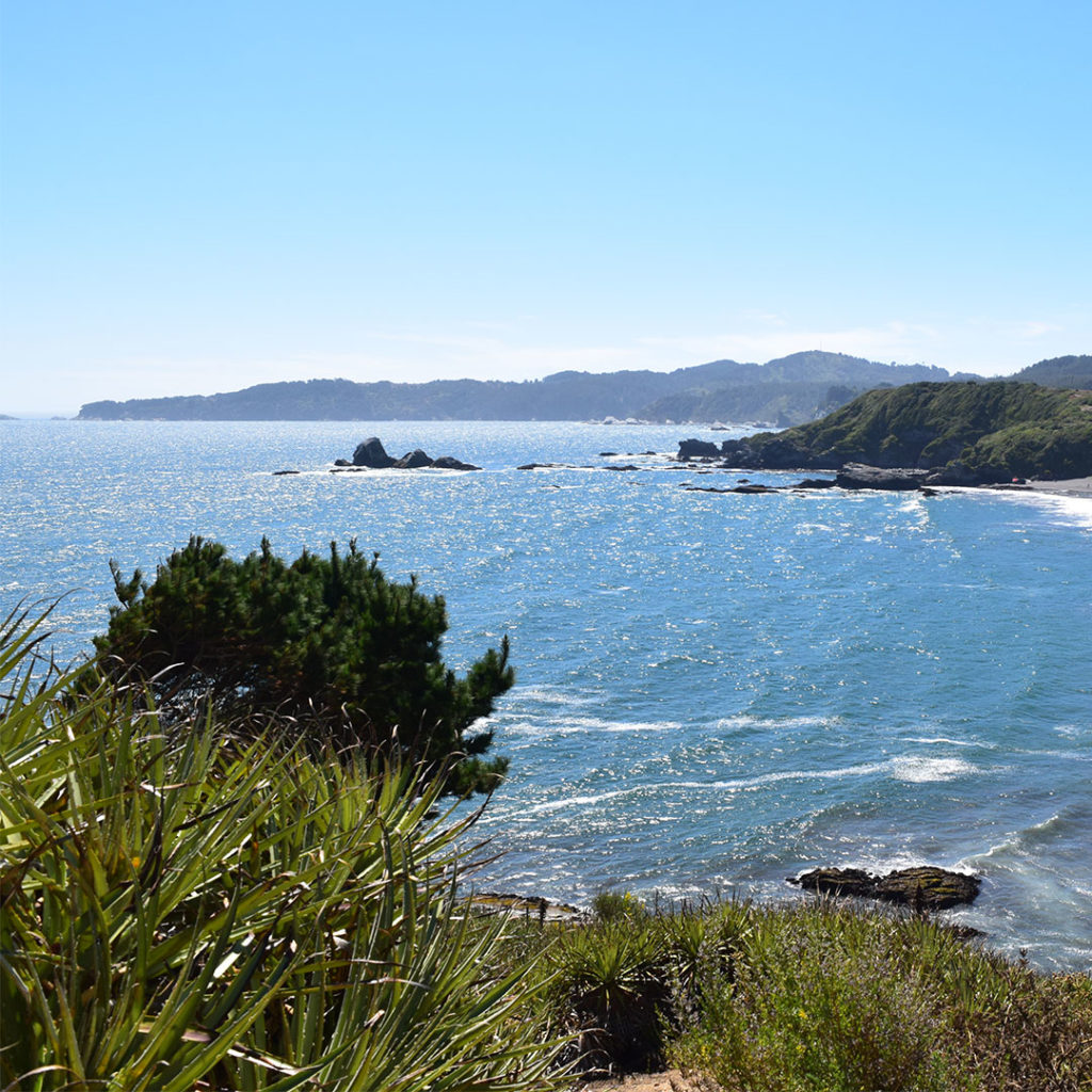 Peninsula de Hualpén vista desde Cerro Pompón, Parque Museo Pedro del Río Zañartu