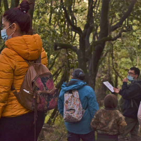 Tours por bosque nativo Hualpén, Parque Museo Pedro del Río Zañartu