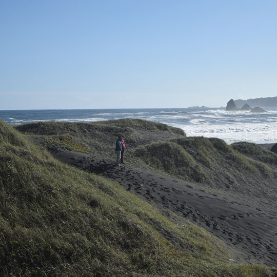 Playa La Desembocadura, Parque Museo Pedro del Río Zañartu