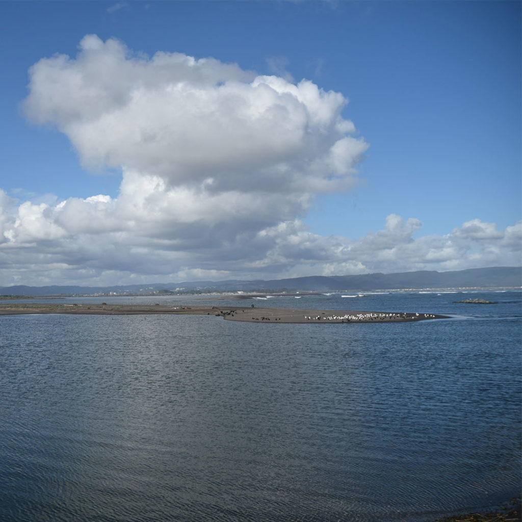 Vista al Estuario del Río Bío Bío, Parque Museo Pedro del Río Zañartu